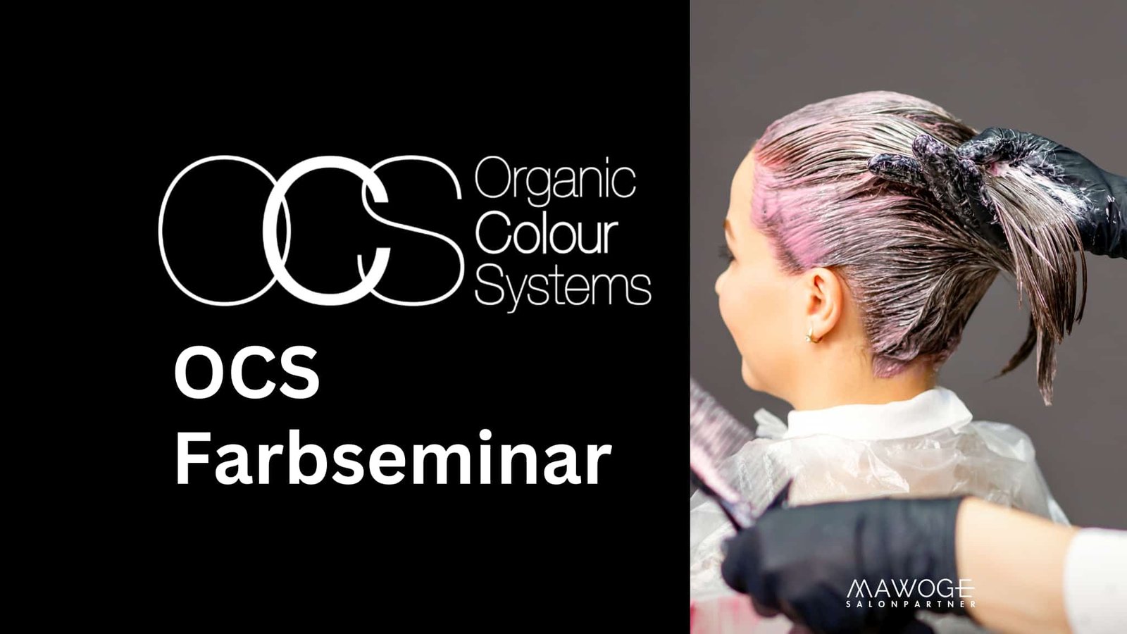 Farbseminar Organic Colour Systems