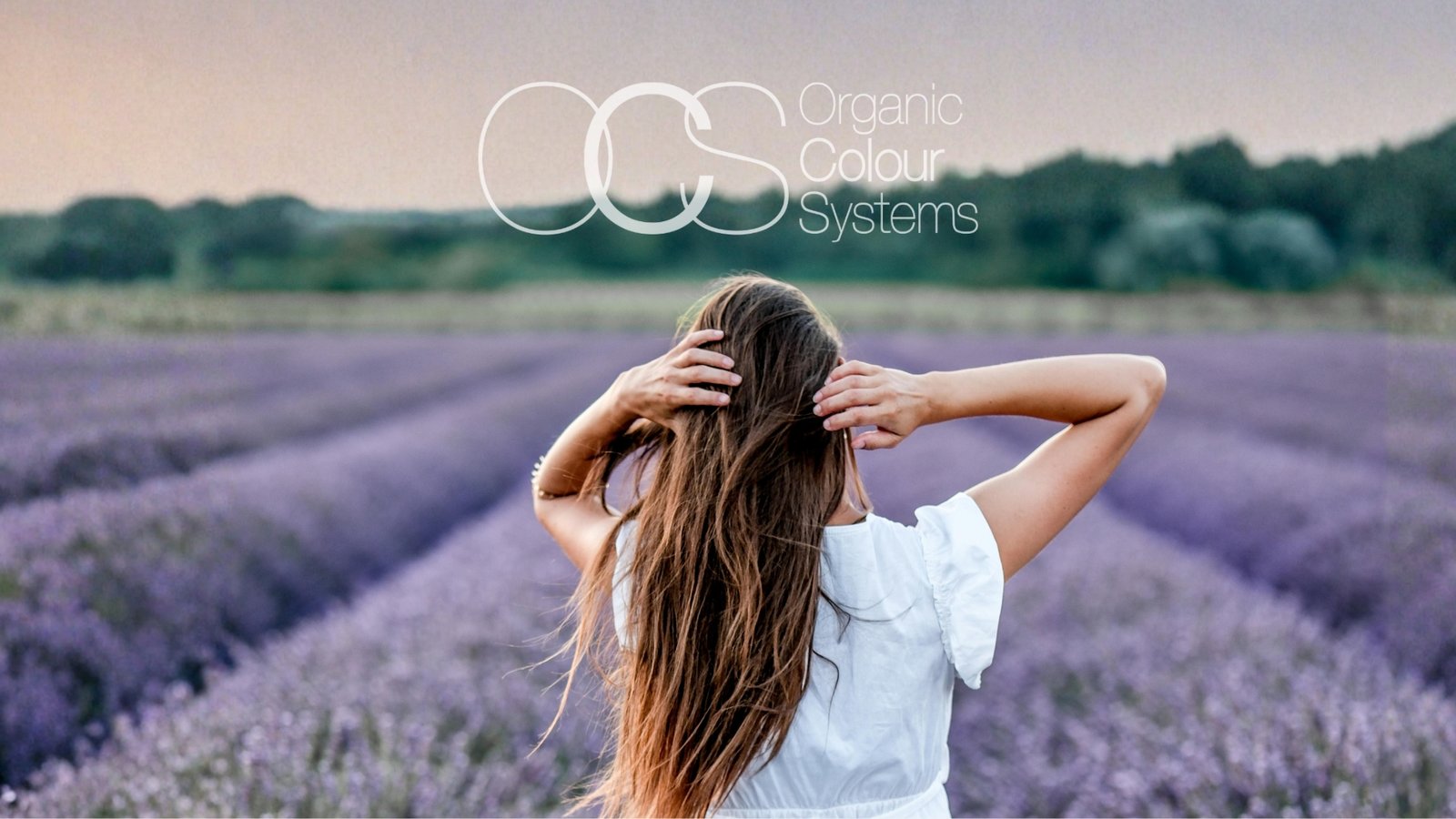 OCS Organic Colour Systems Pflege Serie